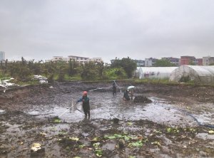 阳曲河道鱼塘清淤